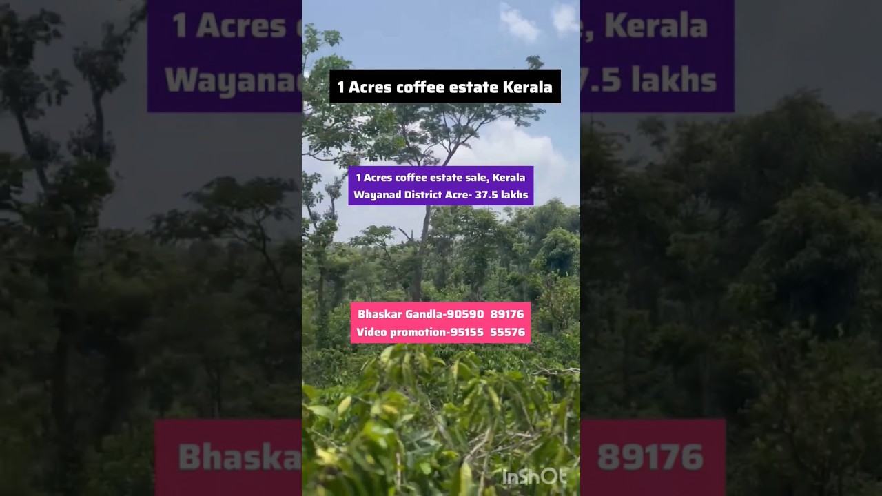 1 Acre Land for Sale || Wayanad, Kerala