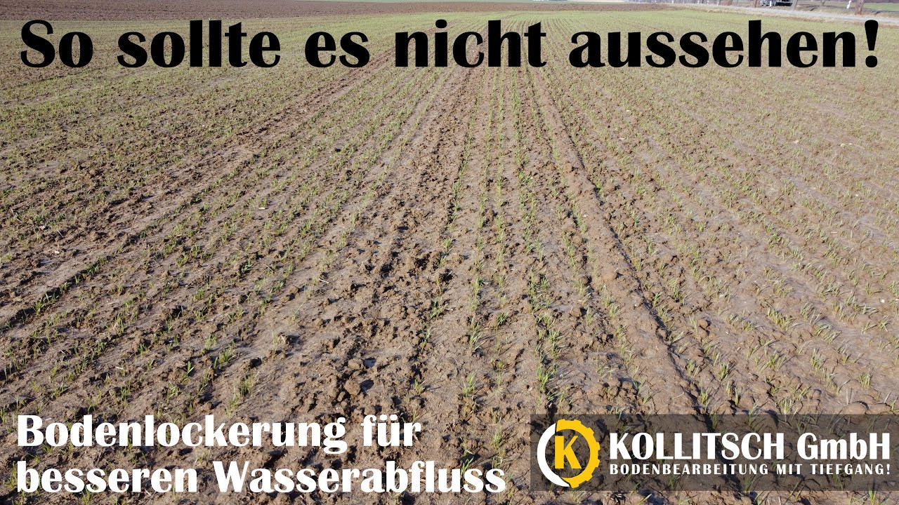 Wenn der Boden das Wasser nicht abflie&szlig;en l&auml;sst