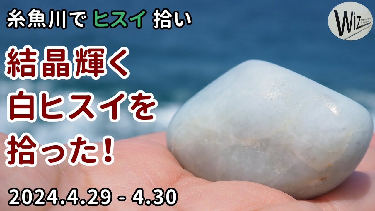結晶輝く白ヒスイを拾った！｜糸魚川でヒスイ拾い　#ヒスイ #翡翠