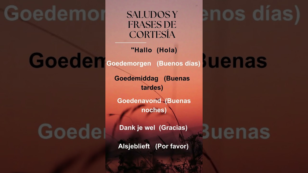 Saludos en Holandés: Tu Primer Paso hacia la Conversación