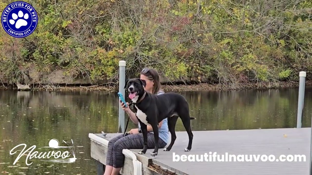 Travel with Your Furry Friends!  Nauvoo is a pet friendly city