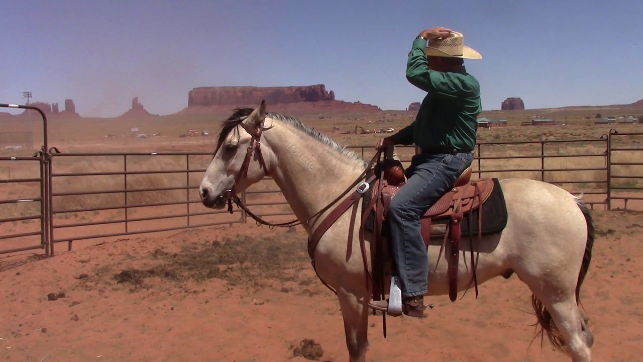 How to Use Leg Cues on Your Horse Part 2