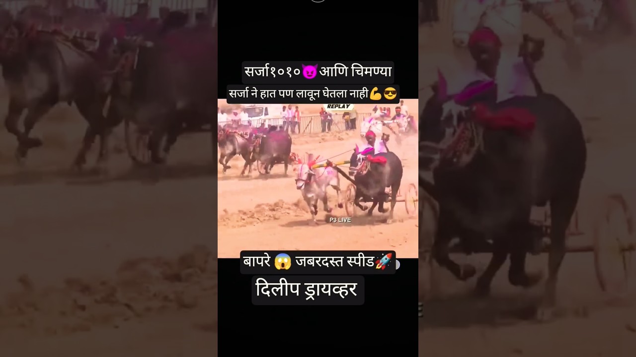 यमाई केसरी 