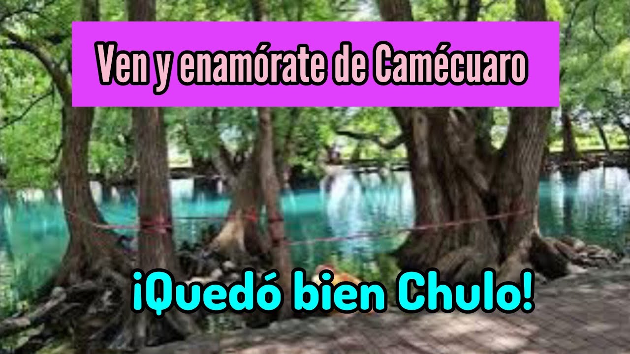 Así luce el Parque Nacional Lago de Camécuaro al día de hoy 5 de septiembre de 2024 @cotidiano399