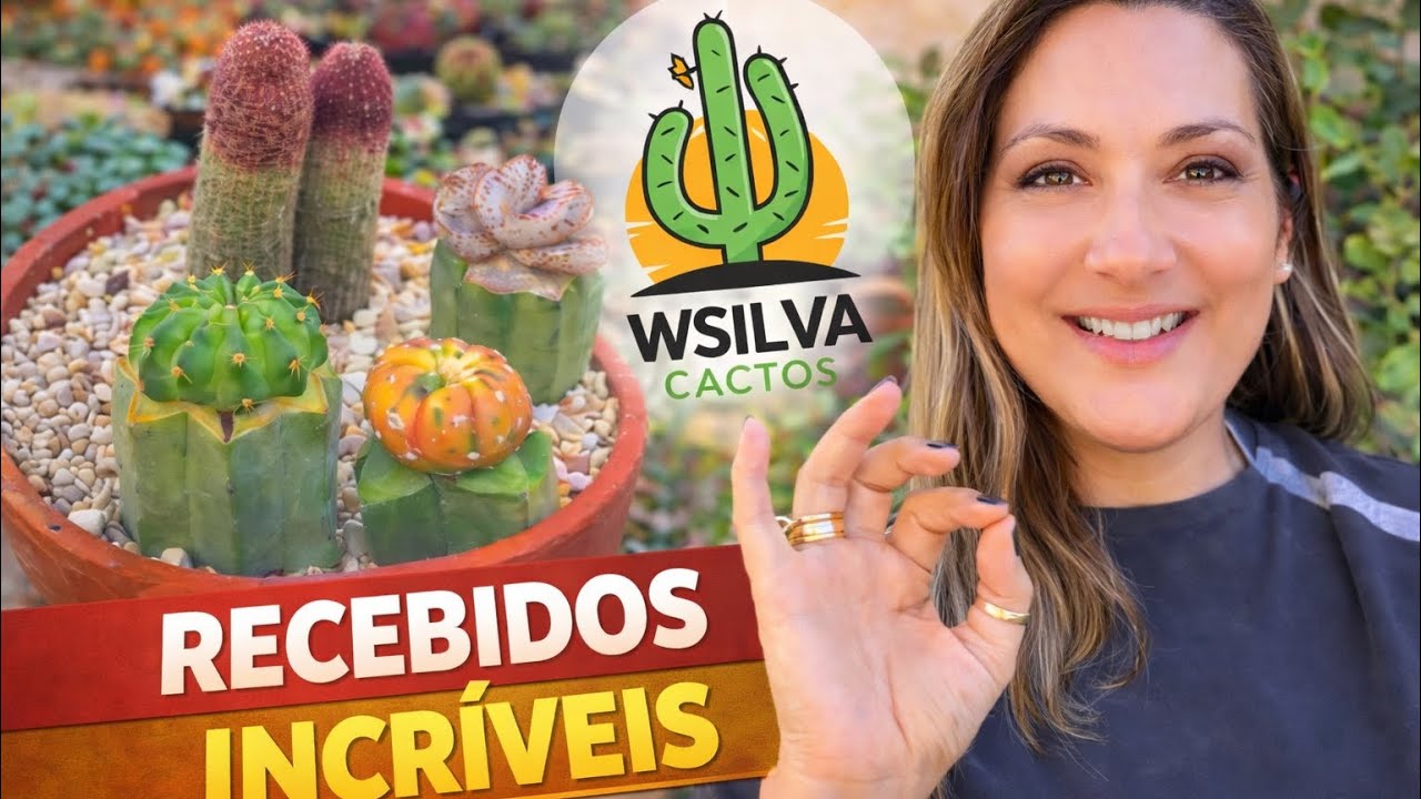 RECEBIDO INCRÍVEL da loja WSilva Cactus 🌵😍 | Olha Esses cactos 😱