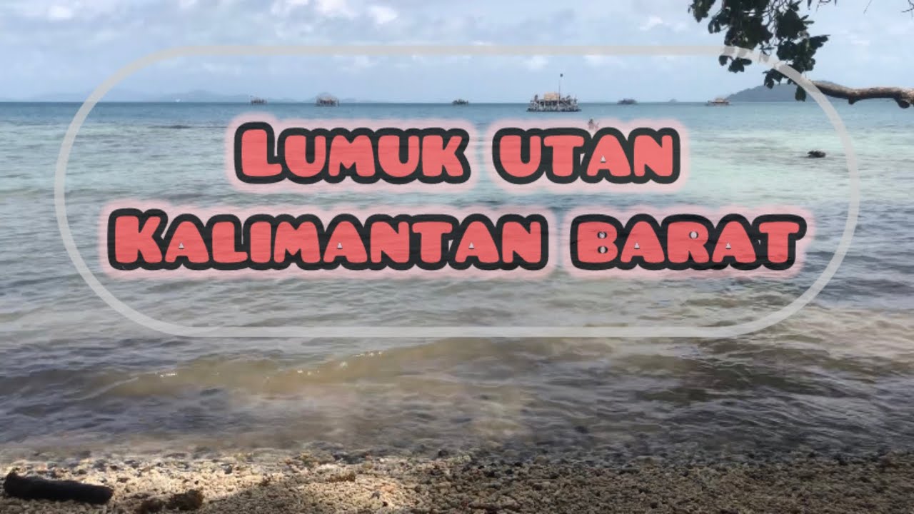 LIBURAN KE LUMUKUTAN 