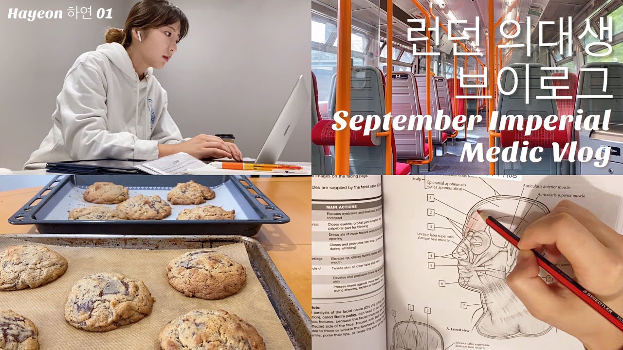 [ENG] 🇬🇧Vlog 대학교 시작하기 1달 전 런던의대생 브이로그 |  A Month before 2nd year Imperial Medicine vlog