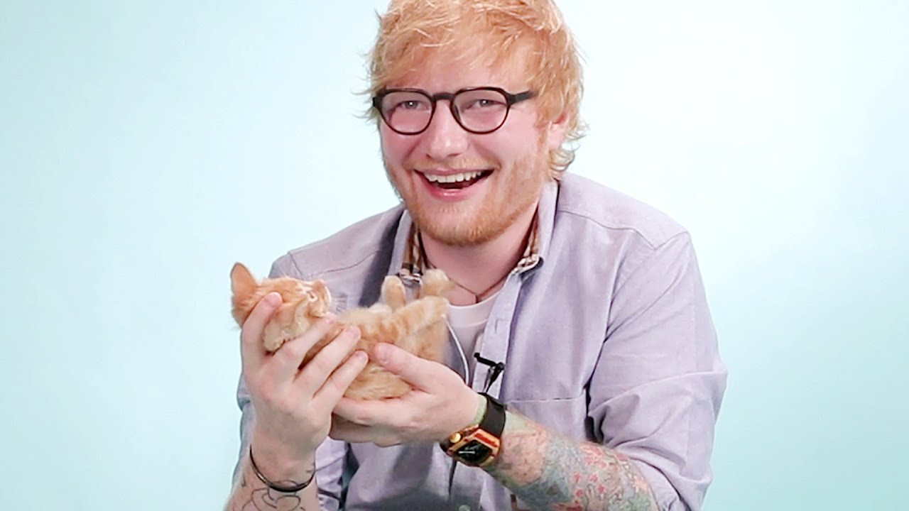 Ed Sheeran Plays With Kittens While Answering Fan Questions
