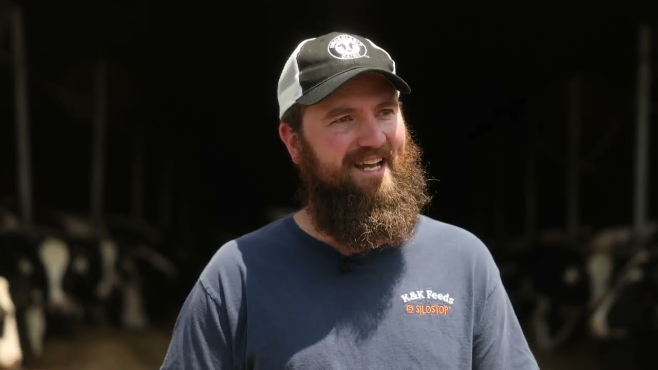 Scattered Acres Dairy (USA) – Cow comfort & milk production with Bioret Agri Aquastar mattresses