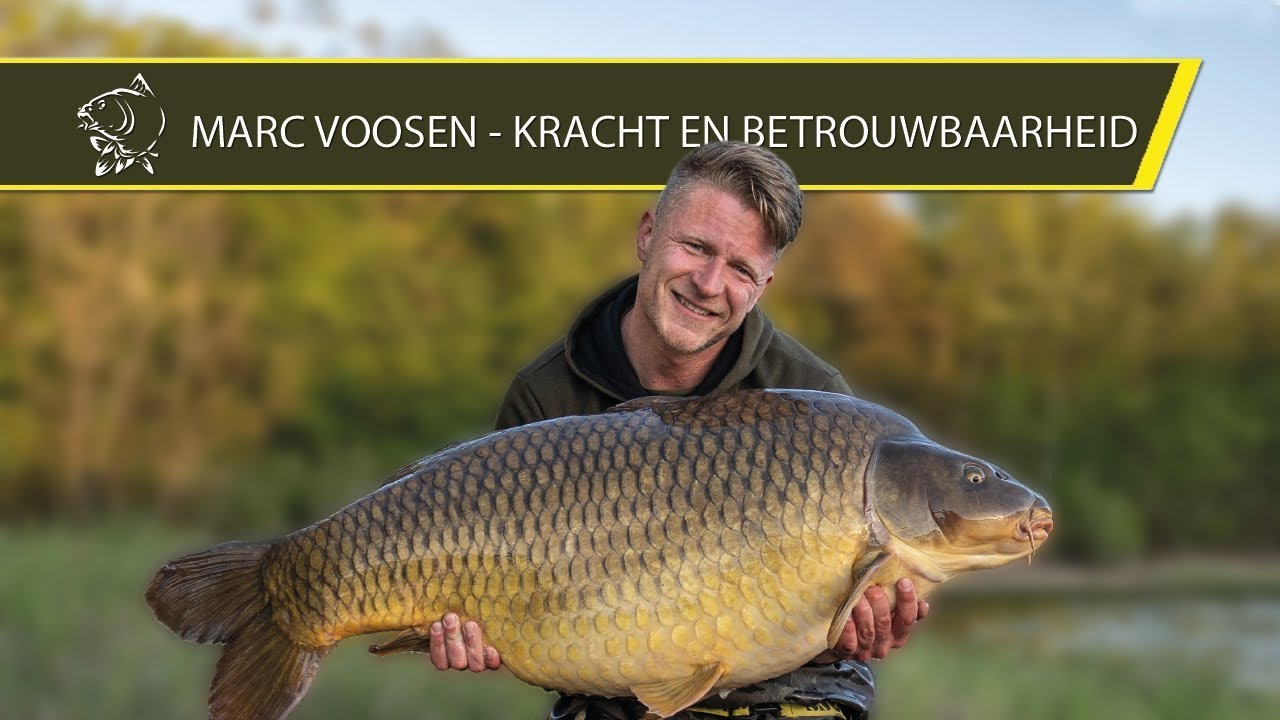 Marc Voosen - Kracht en betrouwbaarheid