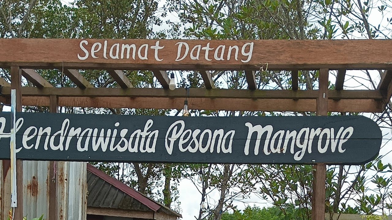 Review - Hendrawisata Pesona Mangrove Balikpapan