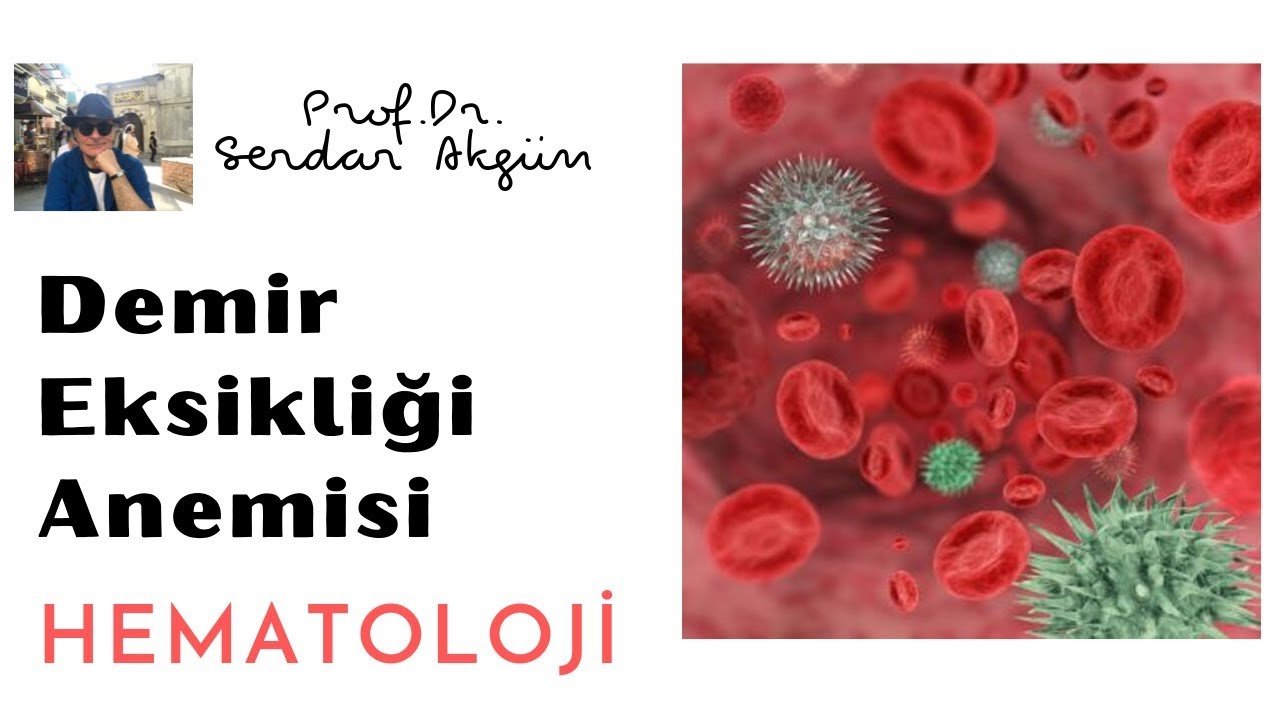 Hematoloji,  Demir Eksikliği Anemisi, Tıp Dersleri, Serdar Akgün