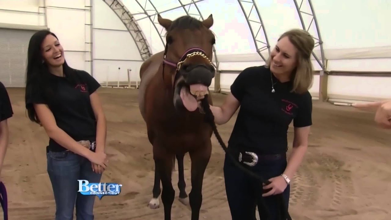 WFSB - Better Connecticut - Full Show in HD