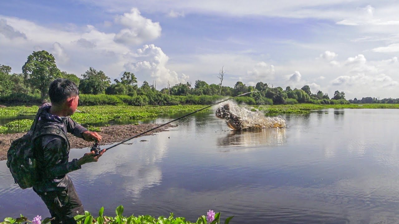 Casting Toman Buas Danau Air Hitam Pedalaman Riau Langsung Dibakar !!!