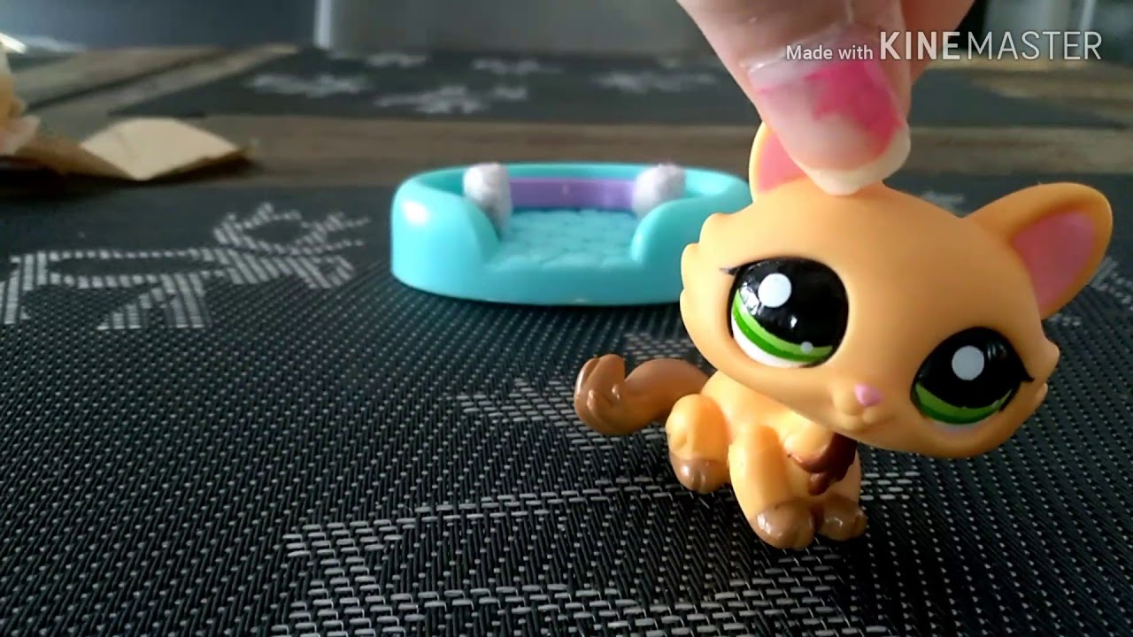 [LPS] Kaks uutta petsiä +petsi tavarat