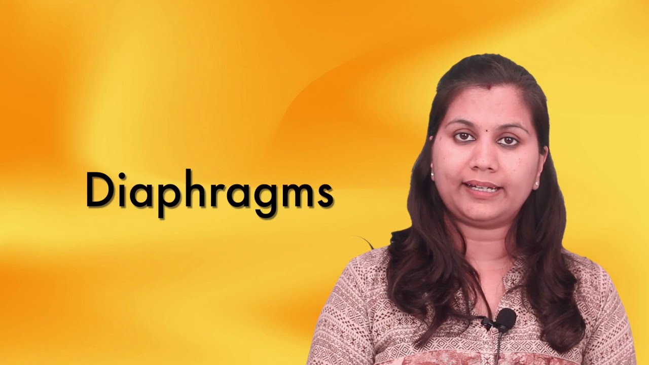 Diaphragms