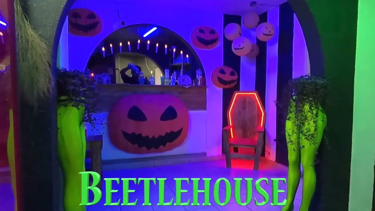 Visitamos a Beetlehouse Cuernavaca Morelos