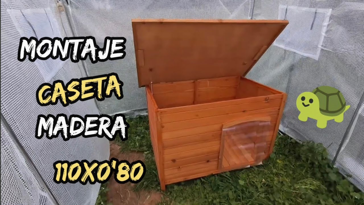 montaje caseta madera amazon perro para tortugas que no hibernan sulcata radiata aldabra pardalis