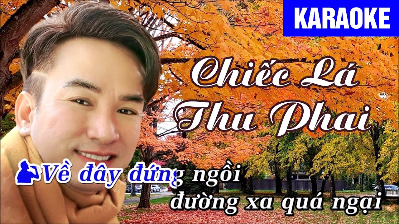 KARAOKE Chiếc Lá Thu Phai Tone Nam - Beat Mới Dễ Hát Đan Phương
