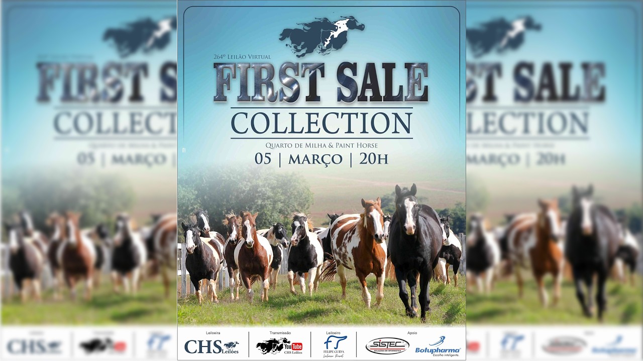 264° LEILÃO VIRTUAL FIRST SALE COLLECTION