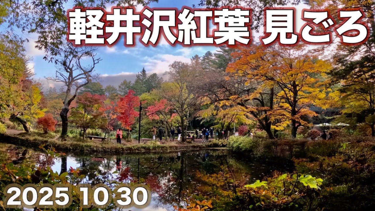 軽井沢各所が紅葉見ごろです　撮影日2025.10.30 The autumn leaves are at their peak in Karuizawa. 