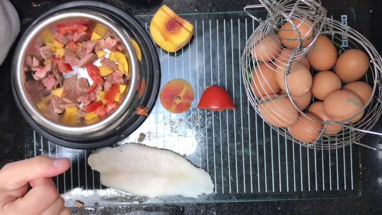 Homemade dog food DIY : Husky Edition