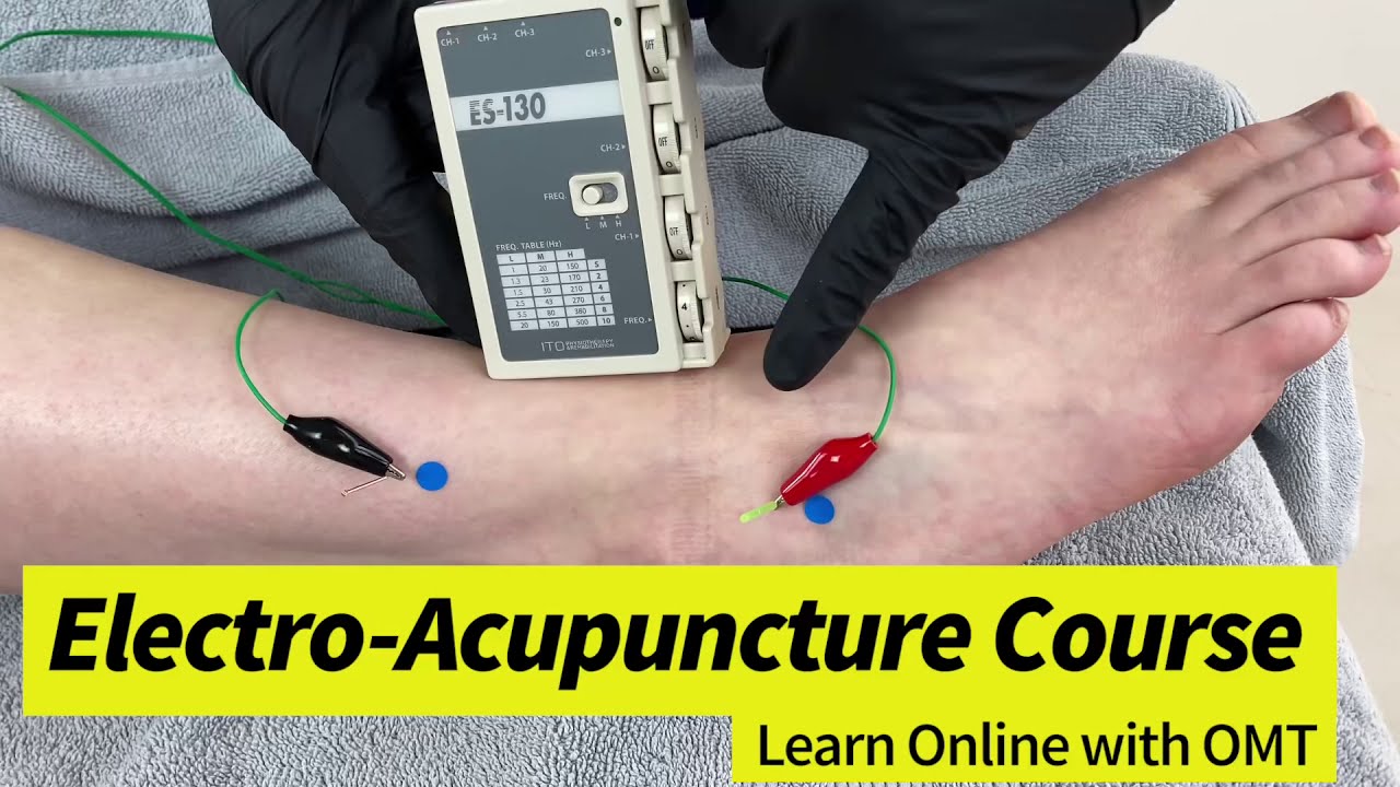 Online Diploma in Electro-Acupuncture