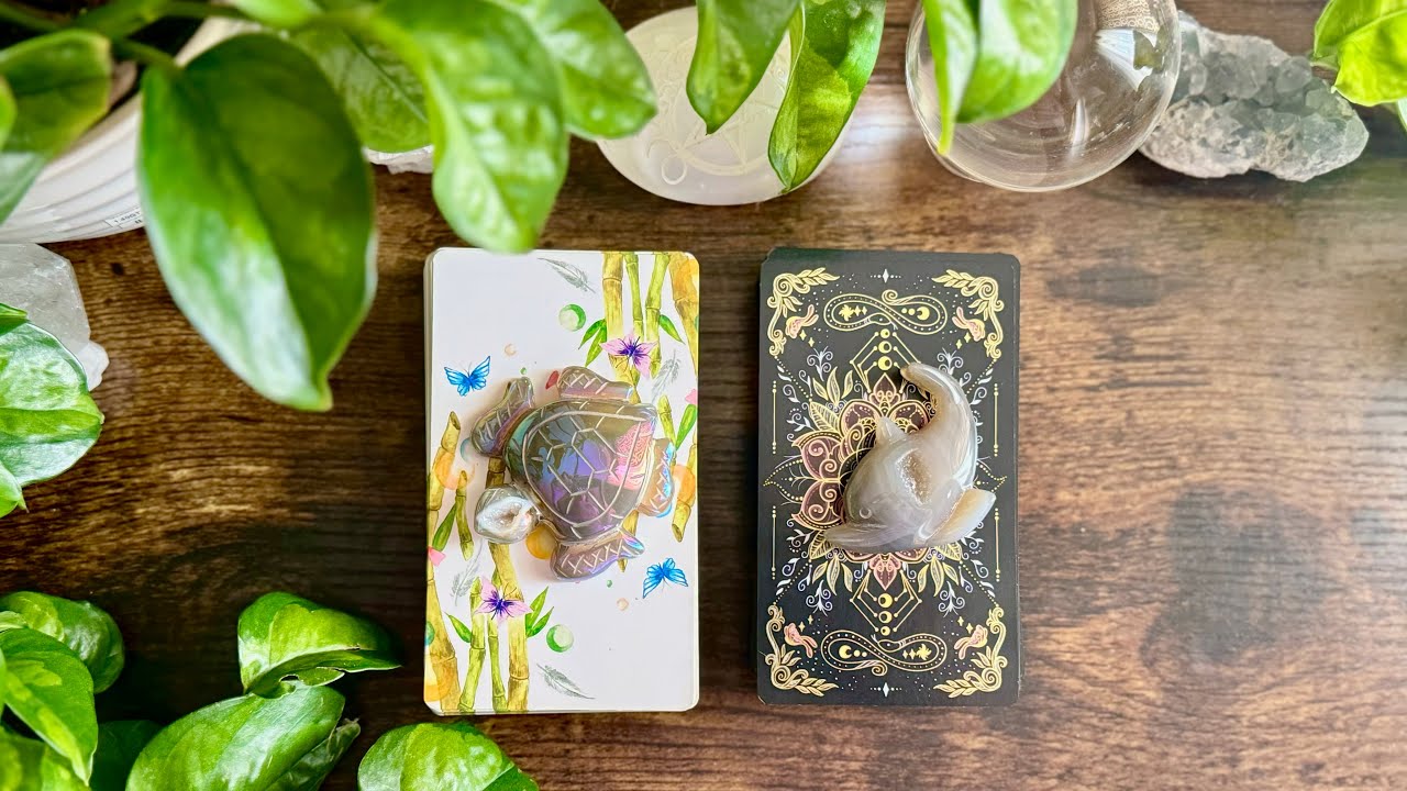 NO CONTACT 🚫📵🚫📵🚫📵Pick a Card Reading📵🚫📵🚫📵🚫