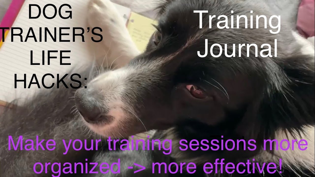 Dog Training Journal