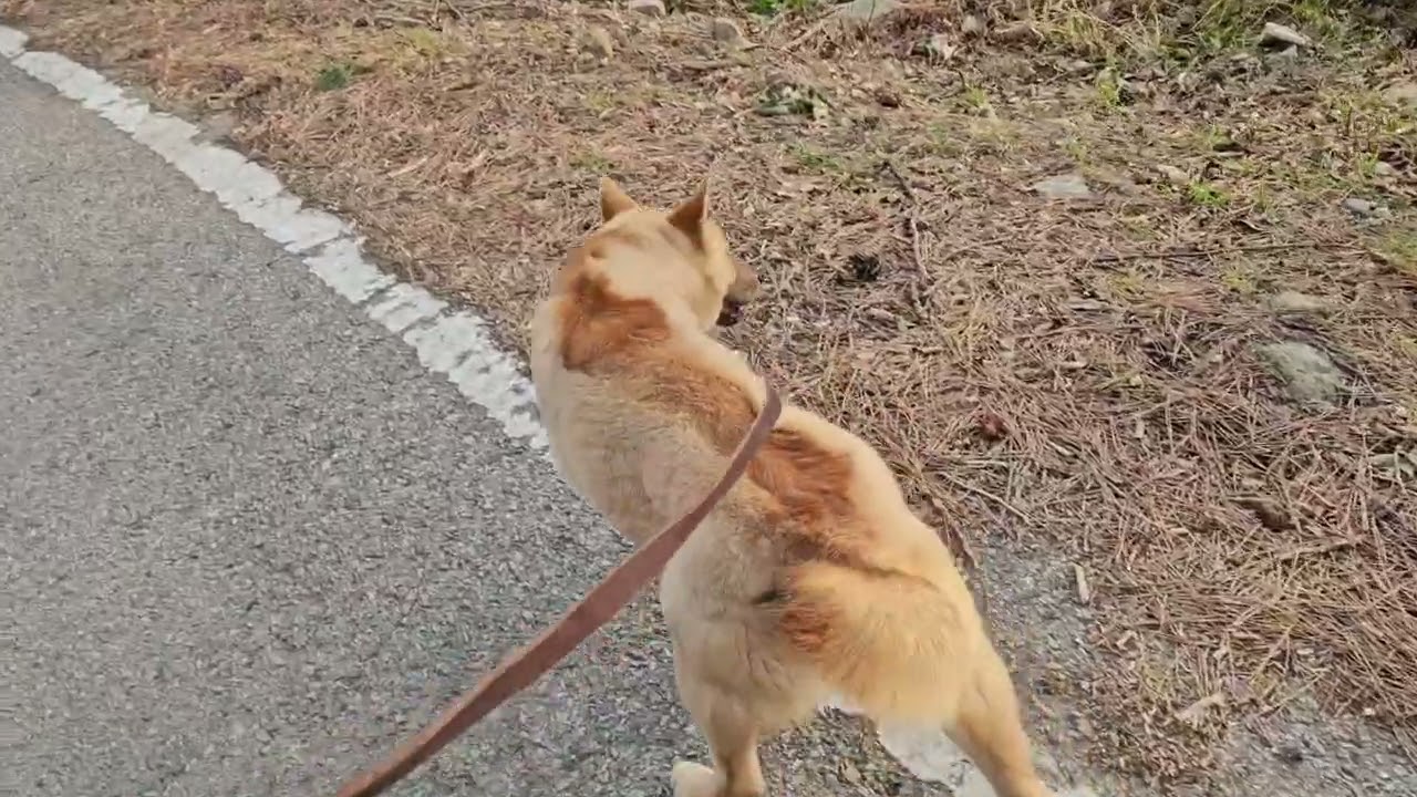금화가 개과천선하여 잘 지냅니다. 적당한 시기에 보내주셔서 마음 치유 잘했어요. 