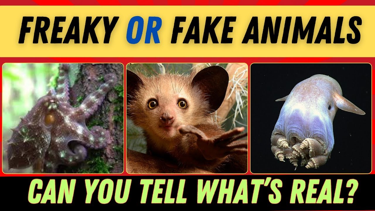 Real or Fake Animal Trivia? The Ultimate Animal Quiz That Will Blow Your Mind!