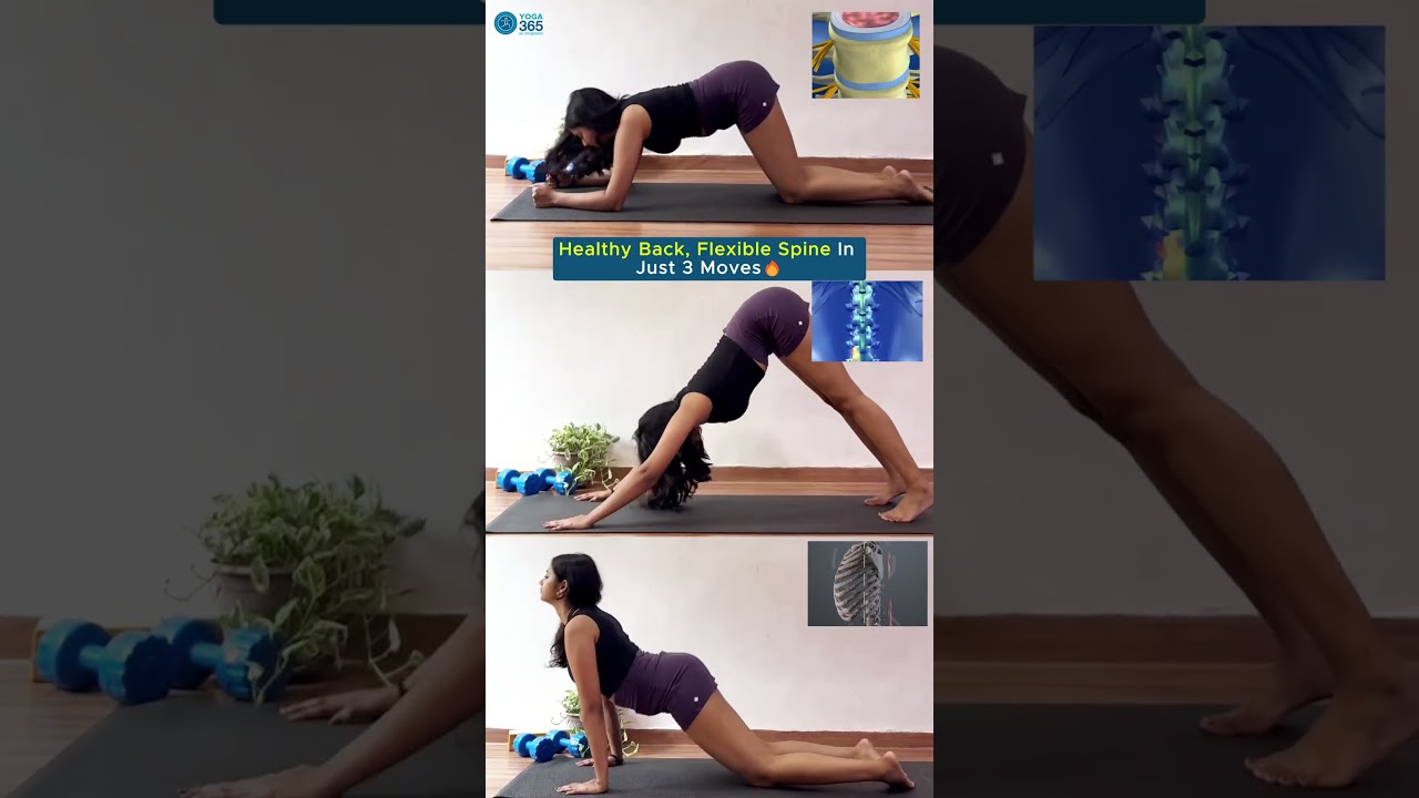 Healthy Back & Flexible Spine in Just 3 Simple Moves | Daily Back Care Routine