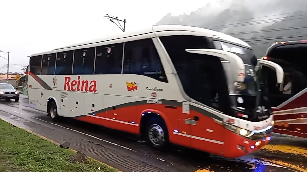 Bonitos Buses