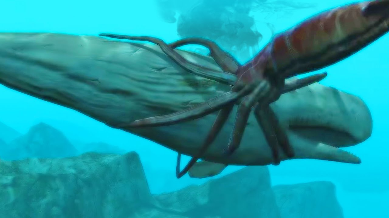 GIANT SQUID ATTACKS WHITE WHALE! - Assassins Creed Black Flag Easter Egg