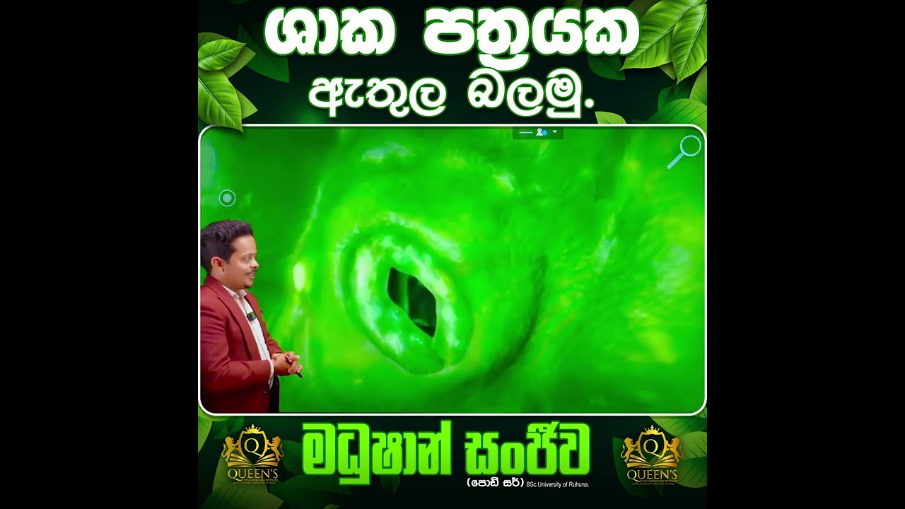 පුංචි හිතට දැනෙන්න ම උගන්වන ලංකාවේ විශිෂ්ටත ම විද්‍යාව පන්තිය...