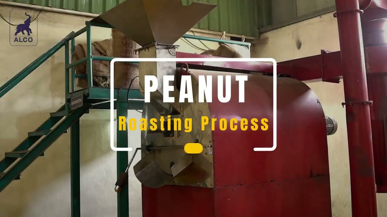 Discover the Art of Alco Foods Roasted Peanut Manufacturing Process