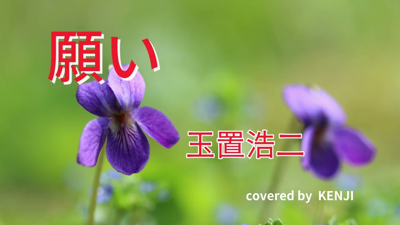 願い
