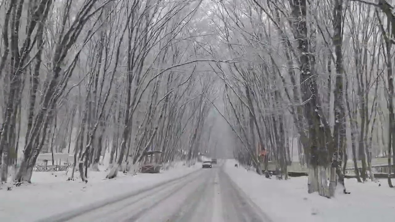 Driving Through the Snowy Roads of Togana