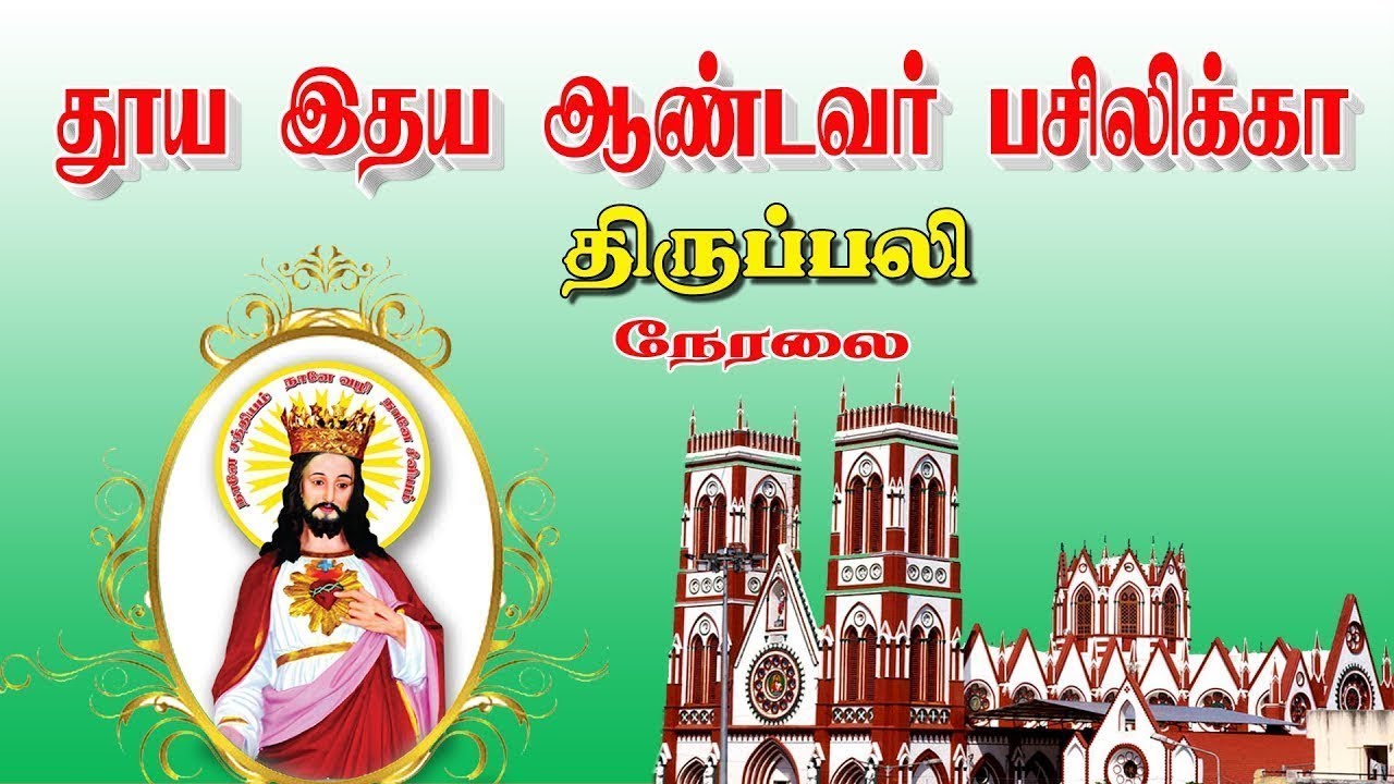 🔴நேரலை20.02.2026. தூய இருதய ஆண்டவர் பசிலிக்கா, திருப்பலி.12.00.PM