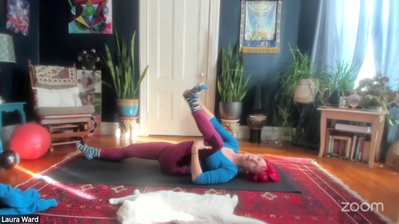 EMBODIED Awakening: Exercise for Core/Distal, Fingers and Toes, plus a CAT!