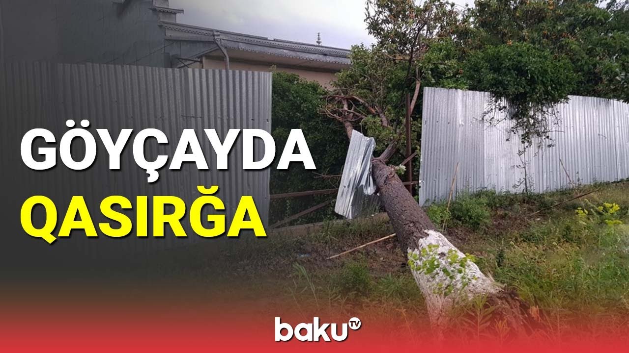 Göyçayda qasırğanın ciddi fəsadları