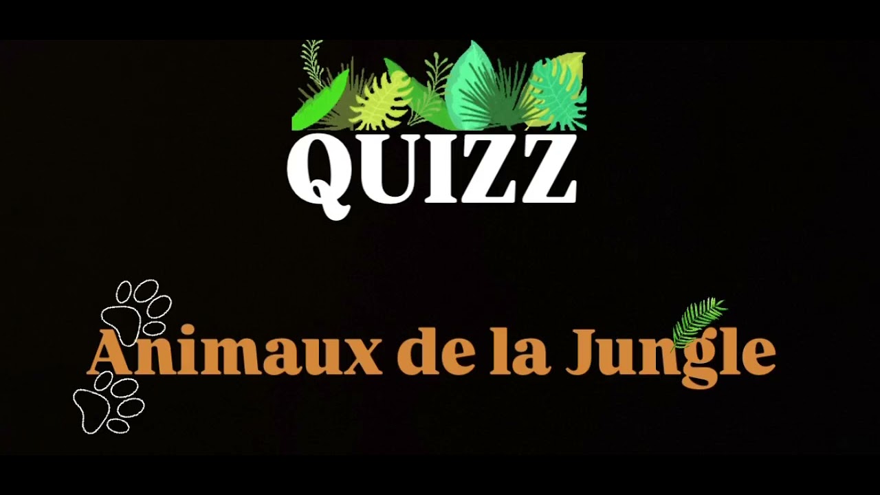 Les animaux de la jungle (fichier visuel disponible sur demande, cf descriptif)
