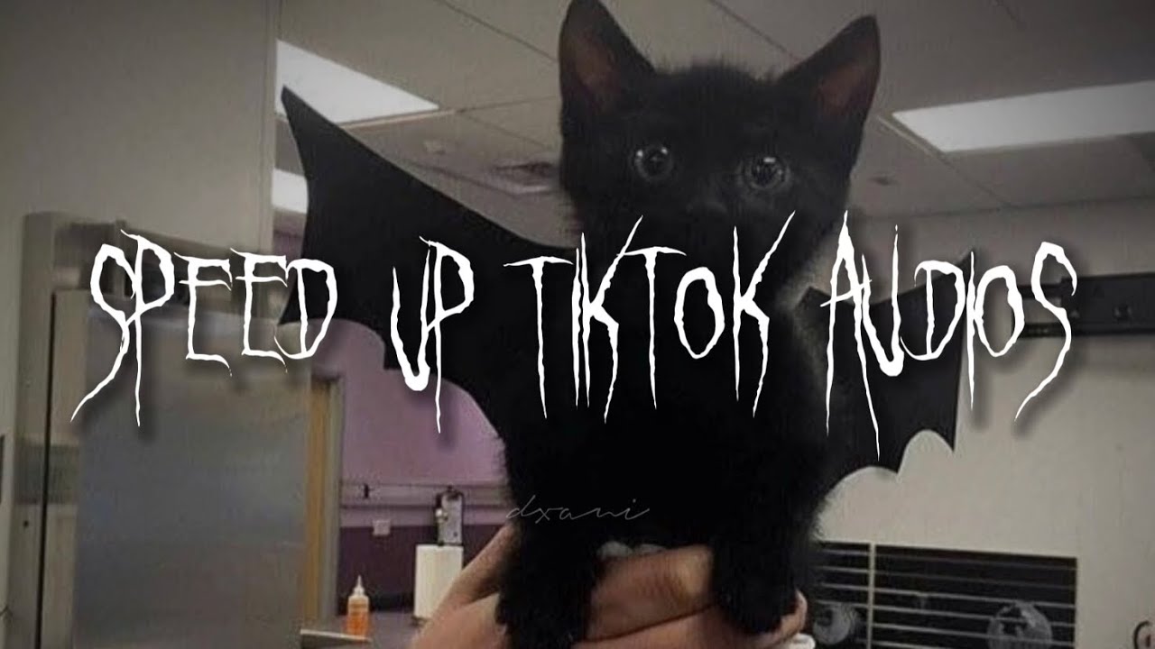 speed up tiktok audios/playlist ☆☆