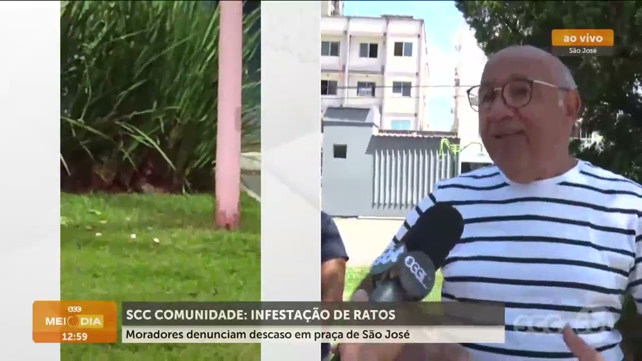 SCC Comunidade: infestação de ratos em praça de São José | Cotidiano | SCC Meio-Dia