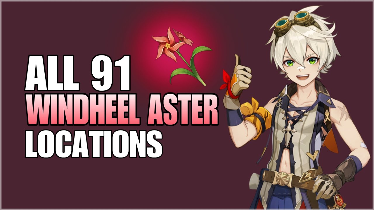 All 91 Windwheel Aster Locations Fast and Efficient Farming Route Genshin Impact Ascension Material