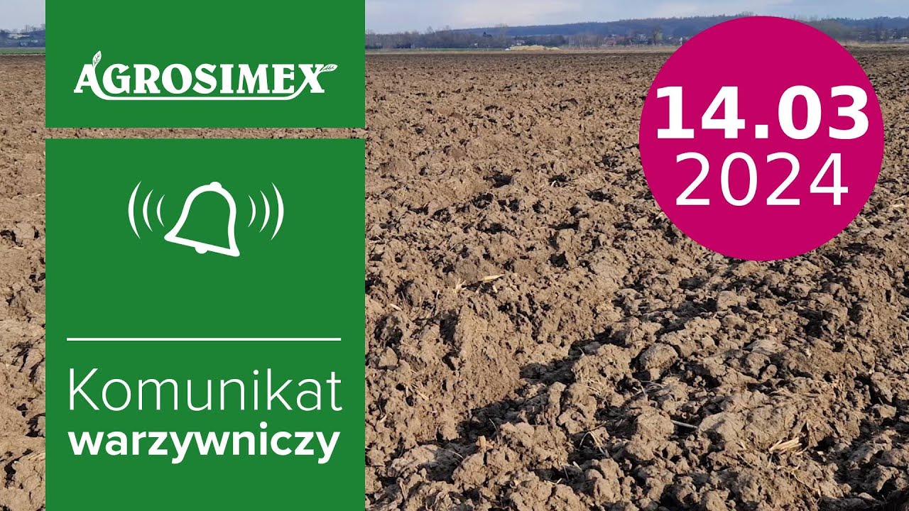 Ochrona cebuli przed chorobami odglebowymi -  komunikat warzywniczy | Agrosimex