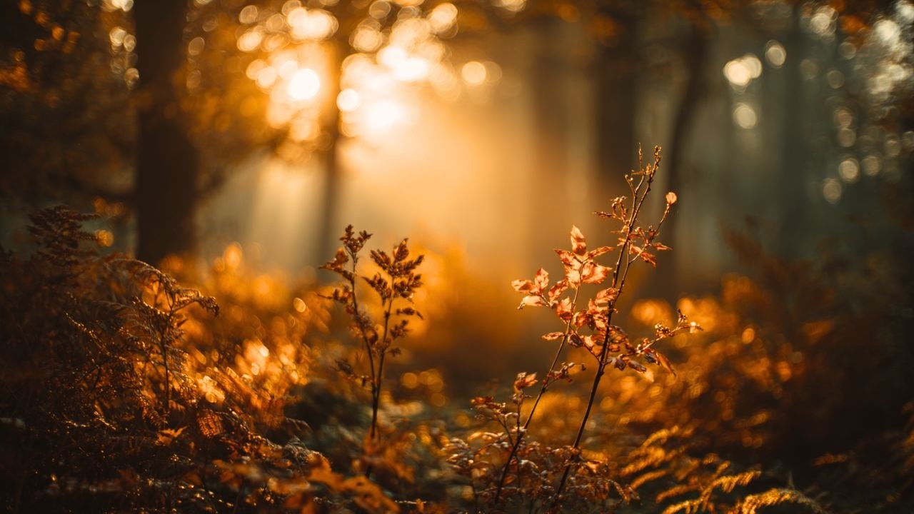 Peaceful Soaking Worship Music | Soaking Worship Music Instrumental for Reflection & Inner Peace