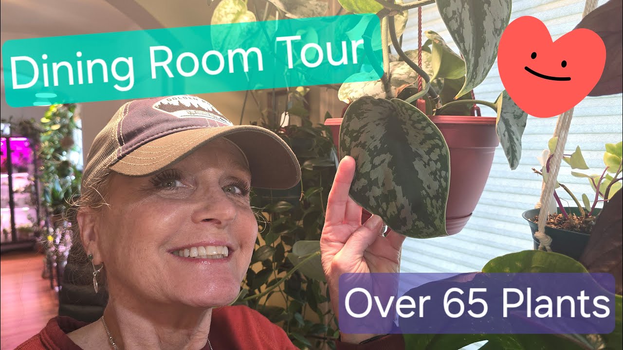 Dining Room Tour 2024 with Over 65 Plants! They need the Love!!