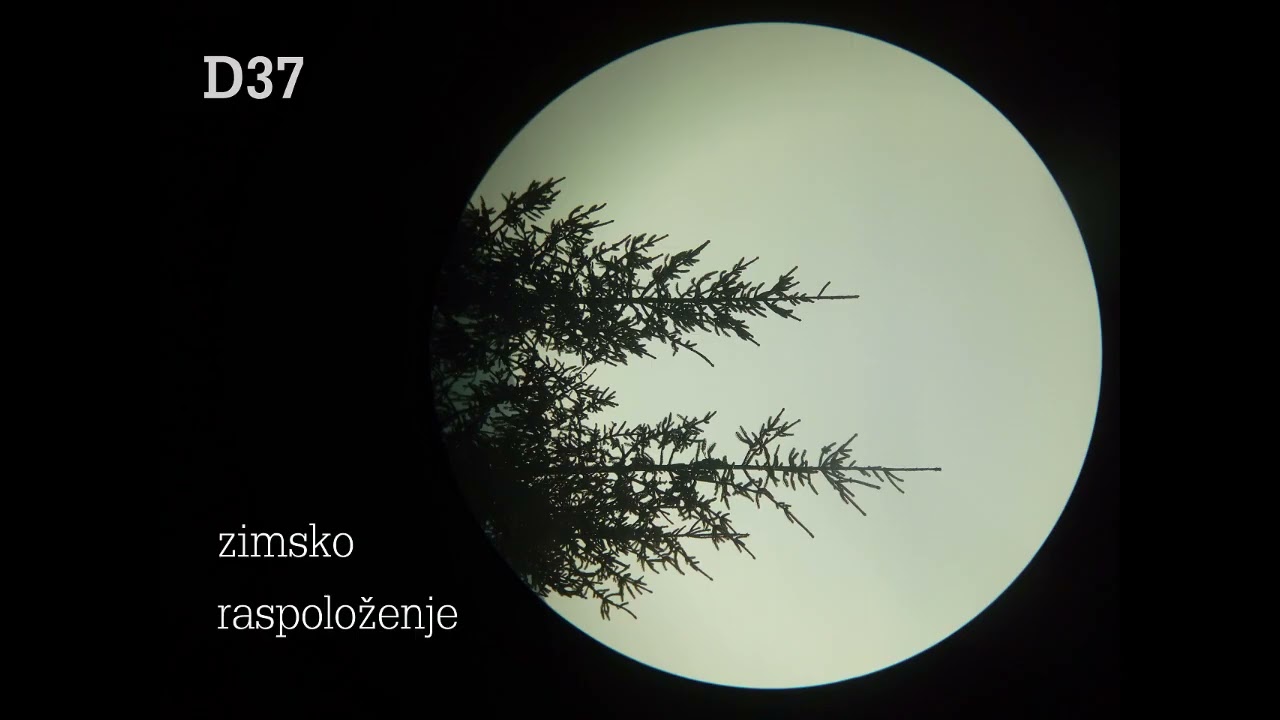 D37 - Zimsko raspoloženje (EP)