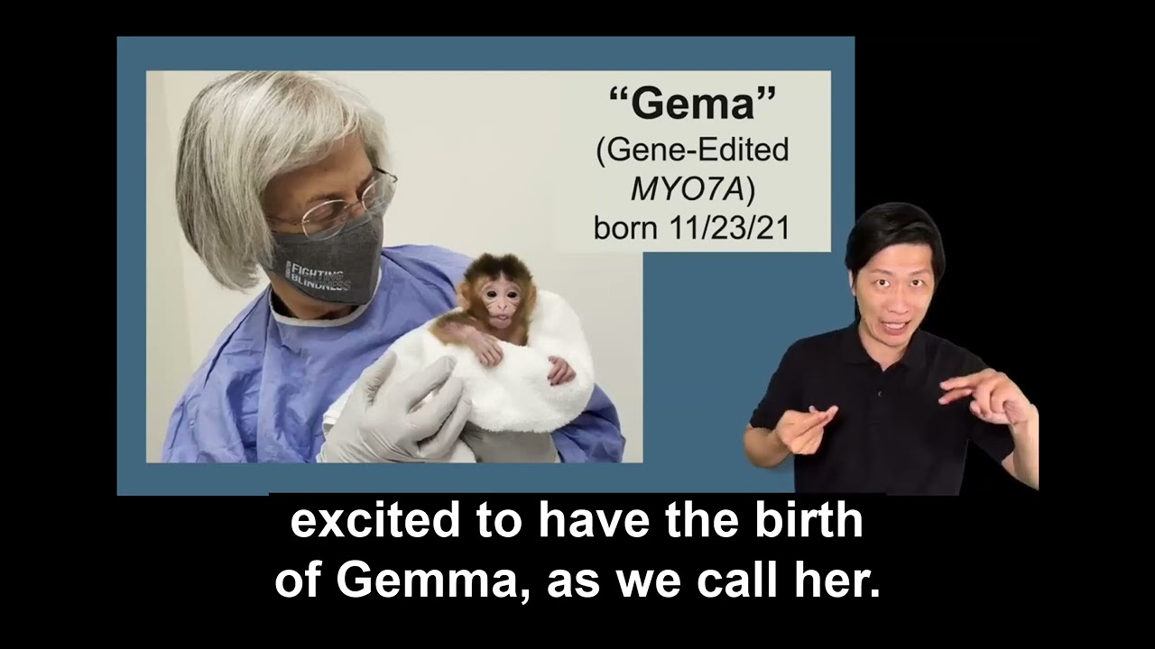 Toward a Nonhuman Primate Model of USH1B (with ASL)